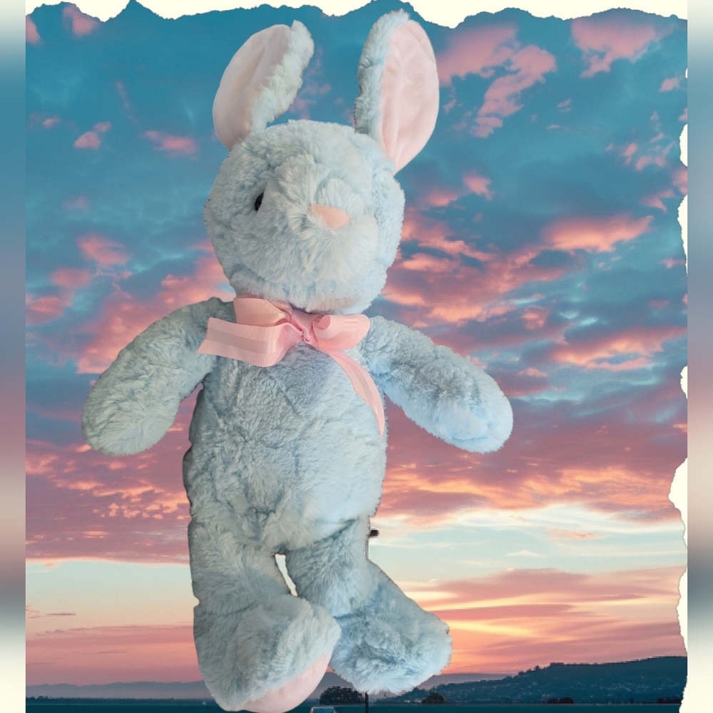 Skye Plush Bunny Rabbit Toy Blue Pink Publix Supermarket Stuffed Animal Easter